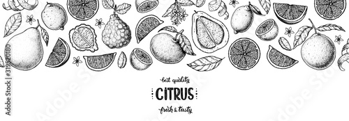 Citrus hand drawn vector illustration. Lemon sketch for design. Black and white style. Citrus lemon, pomelo, orange, bergamot pattern illustration. Citrus packaging design.