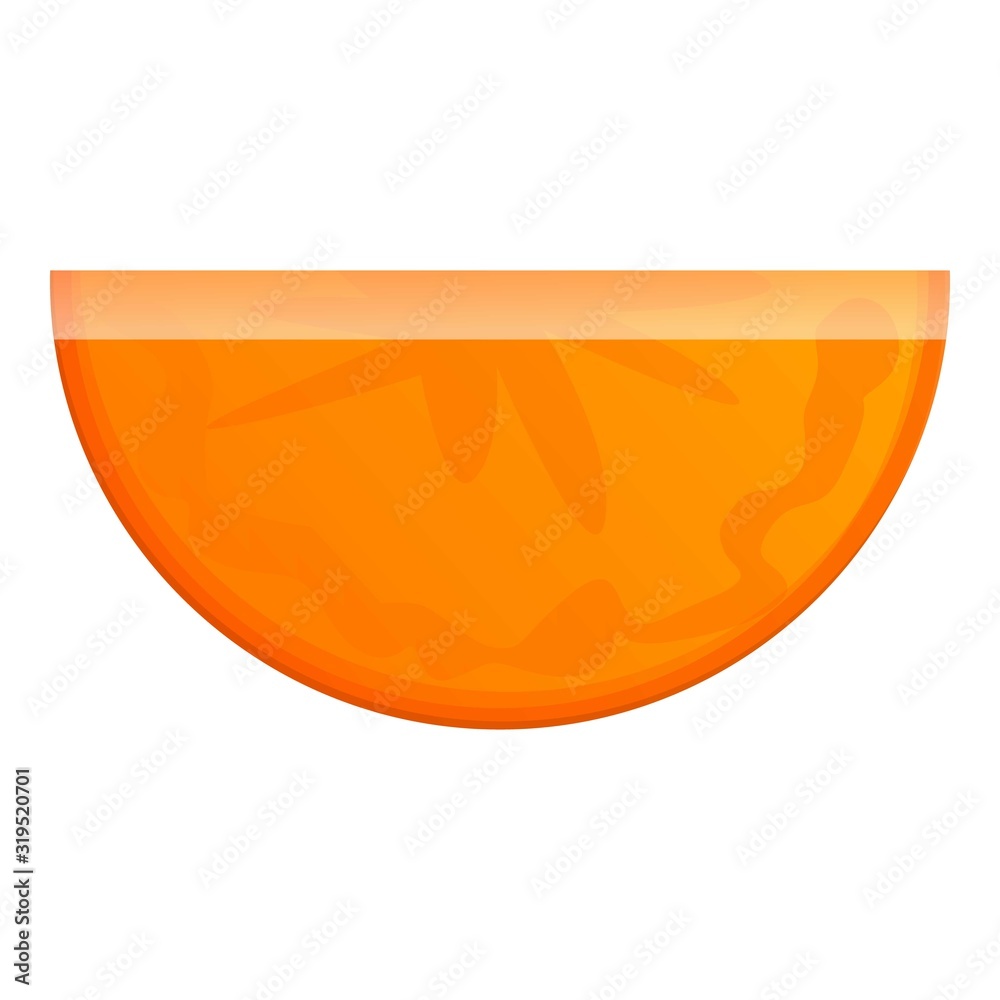 Fresh carrot slice icon. Cartoon of fresh carrot slice vector icon for web design isolated on white background