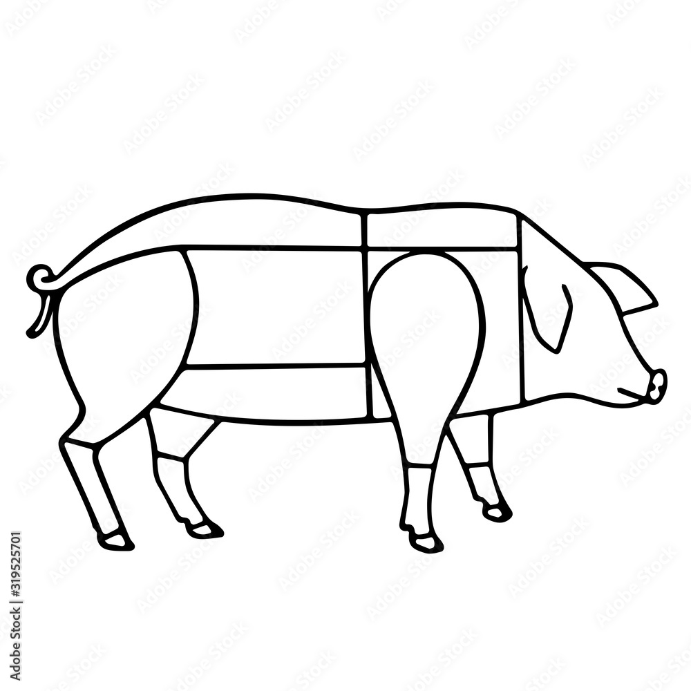 Obraz premium Pig meat scheme, vector illustration