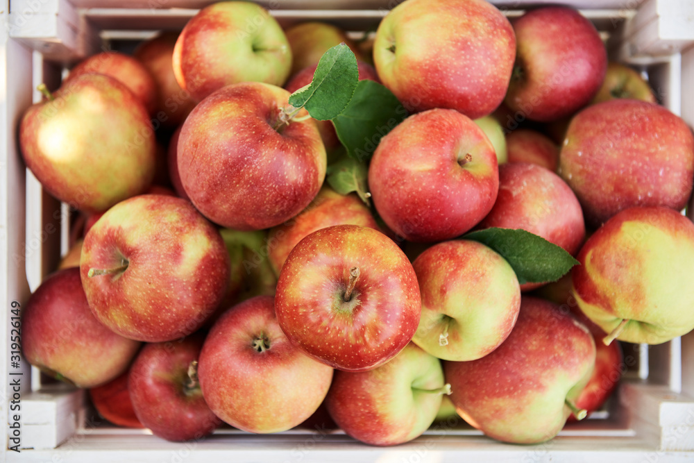 Apples in a crate, overhead view