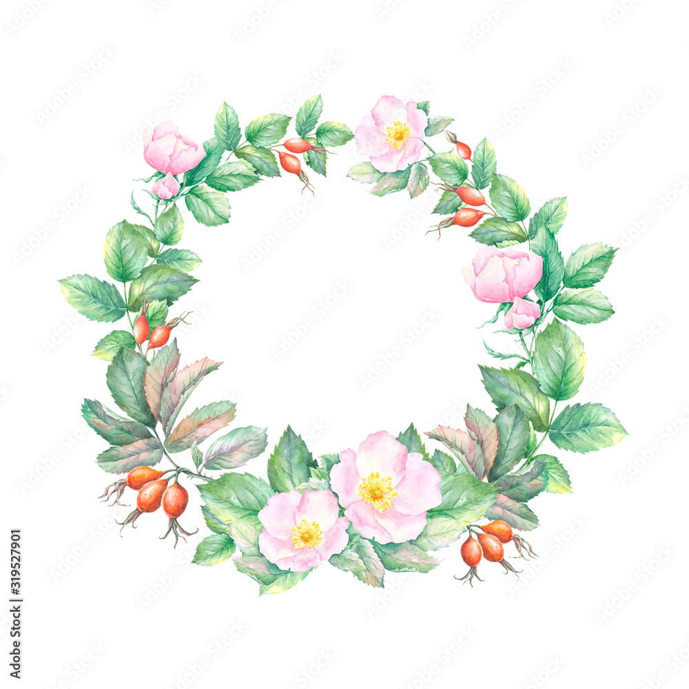 Watercolor sketch wreath of wild rose hips, flowers and leaves isolated on white background. Wreath for card, invitation, wedding stationary.