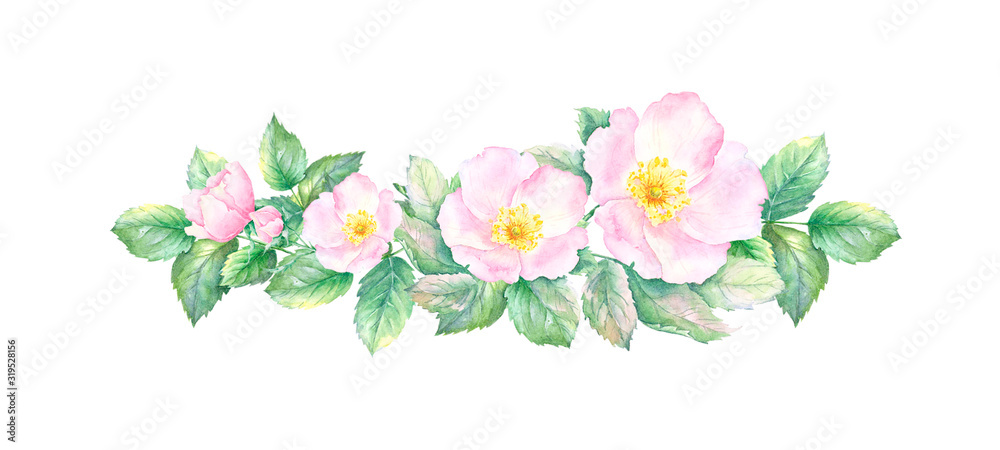 Watercolor drawing of rose hip flowers and leaves border isolated on white background. Hand painted illustration of pink brier flowers with green leaves. Spring blossom botanical illustration.
