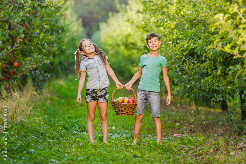 Fototapeta premium Funny siblings holding a basket full of apples together and grinning at the camera, standing on an alley in garden.