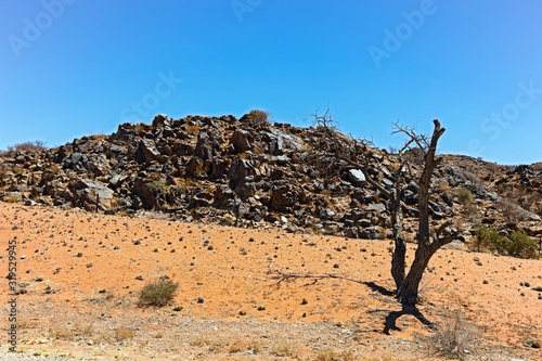 Dead tree and scorched rocky hill in barren region © geoffsp