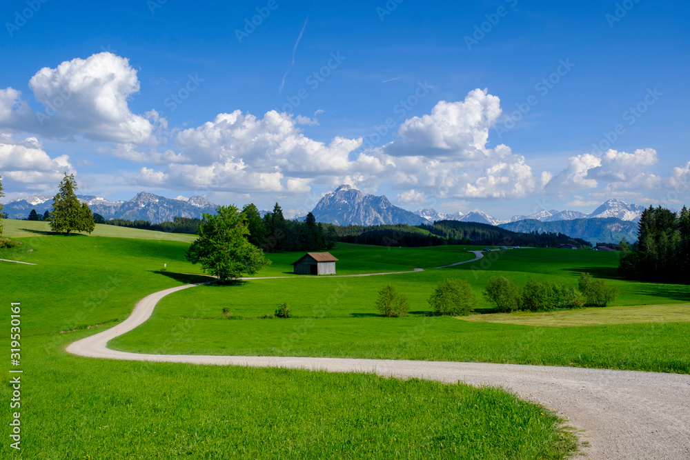 Germany, Swabia, Winding road cutting through alpine meadow in spring Germany, Swabia, Winding road cutting through alpine meadow in spring