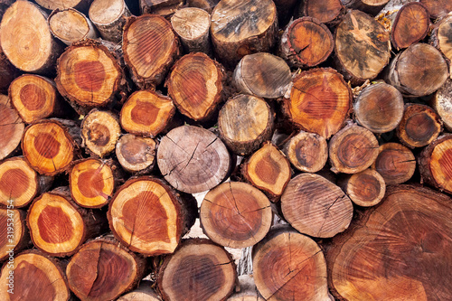 pile of wood logs