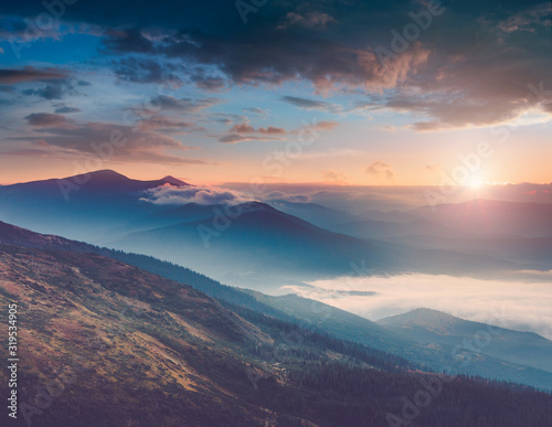 Beautiful landscape of summer mountains at sunrise. Misty slopes of the mountains in the distance. View of morning forest hills in fog and rays of sunlight. Concept of the awakening wildlife.  © vovik_mar