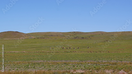 Gobi Plains Mongolia