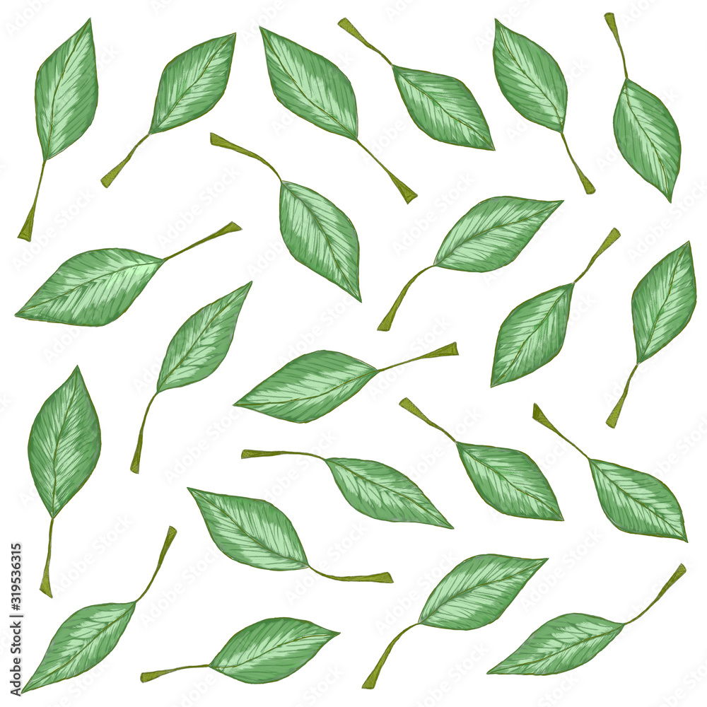 Illustration of a green leaf with branches on a white background. Leaf print on a white background. Organic print.