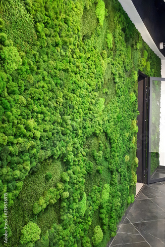 green preserved moss wall for office decor