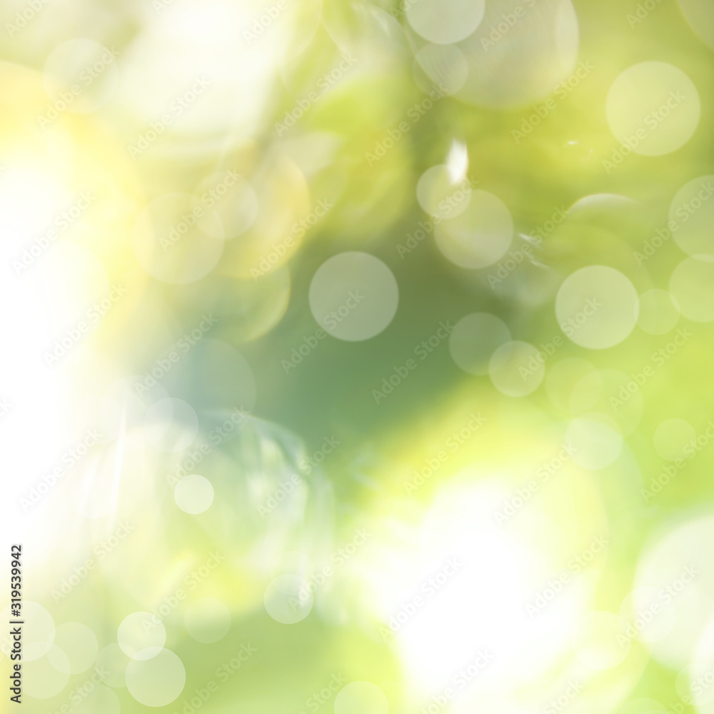 Blurred view of abstract green background, bokeh effect. Springtime