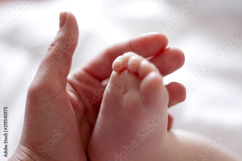 leg of a newborn in the hand of an adult © Дмитрий Ильченко