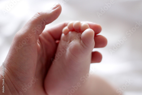 leg of a newborn in the hand of an adult © Дмитрий Ильченко