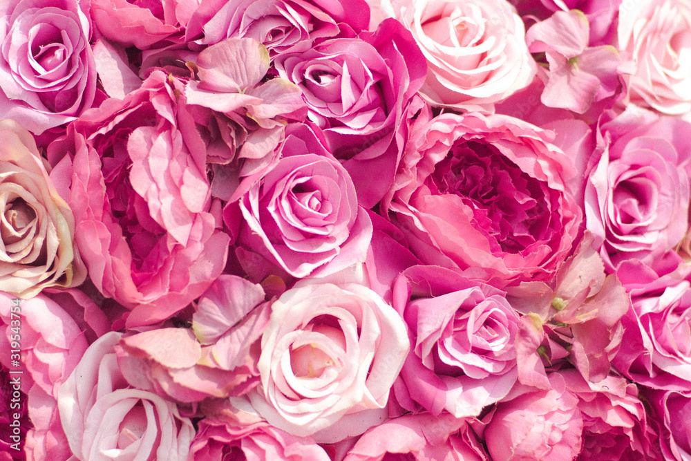 Selective focus Beautiful Pink flowers background . abstract soft sweet pink flower background .Beautiful pink roses flower blossom flower background design floral . valentine's day backgroud Selective focus Beautiful Pink flowers background . abstract soft sweet pink flower background .Beautiful pink roses flower blossom flower background design floral . valentine's day backgroud