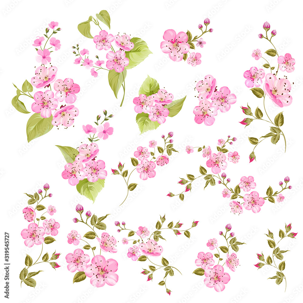 Collection of cherry flowers, set. Cherry blossom bundle. Black flowers of prunus isolated over white. Flowers contours collection. Vector illustration.