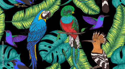 Seamless pattern with hoopoe, hummingbird, quetzal, ara parrot, purple honeycreeper. Animals and palm leaves illustration. Tropical birds. Hand drawn vector illustration.