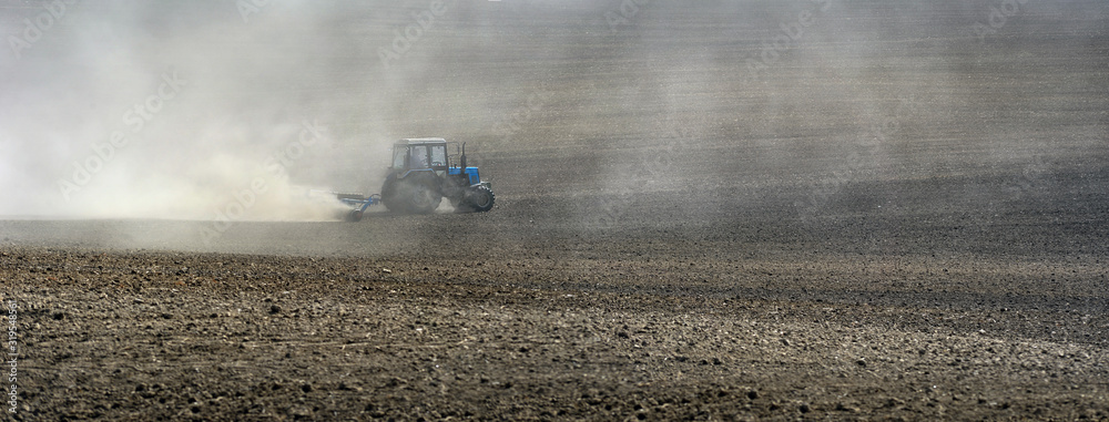 Fototapeta premium dust clouds on a plowed field behind little blue tractor in preparation for sowing.