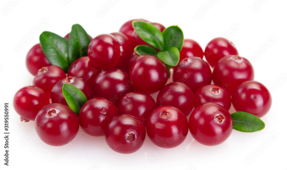 Fresh cranberry isolated on white background Fresh cranberry isolated on white background