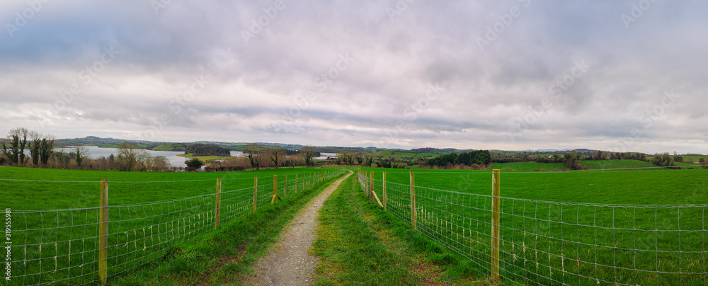 Fototapeta premium panoramic view of delamont countryside park,northern Ireland