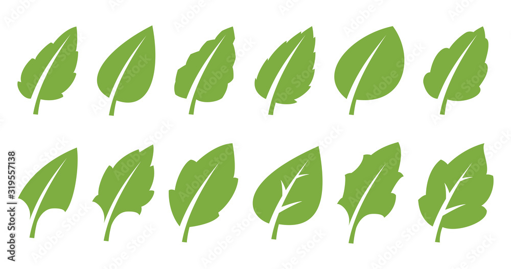 Green leaf set - obrazy, fototapety, plakaty 