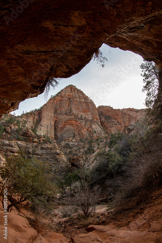 Extreme wide-angle or fisheye image of steep cliffs and winter foliage in Zion National Park, Utah