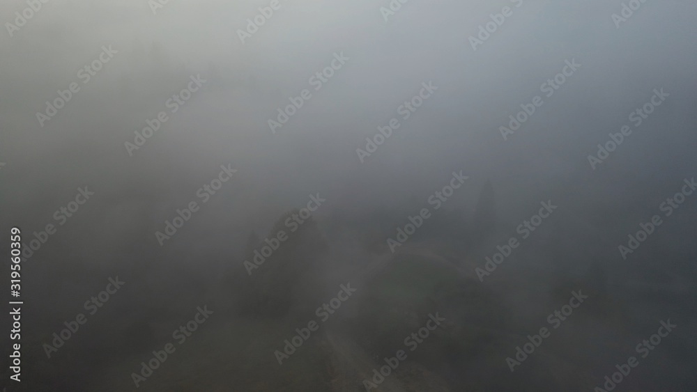 Obraz premium Aerial view of colorful mixed forest shrouded in morning fog on a beautiful autumn day