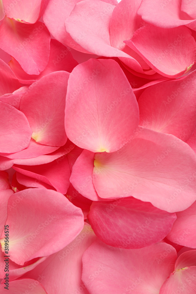 Fresh pink rose petals as background, closeup Fresh pink rose petals as background, closeup
