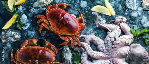 Zusammenstellung von Meeresfrüchten mit feinschmeckerischem Abendessenhintergrund der rohen frischen Krake,austern und mit roten krabben photo