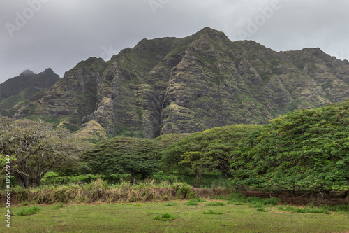 Kaaawa, Oahu, Hawaii, USA. - January 11, 2020: Green tree belt in front of tall brown rocky cliffs under gray cloudscape near Kualoa Ranch area. photo