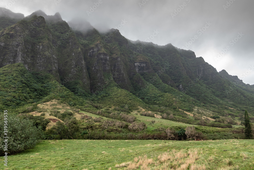 Naklejka premium Kaaawa, Oahu, Hawaii, USA. - January 11, 2020: Green forested flanks to Brown to black high rocky cliffs on side of green meadow in Kualoa valley under cloudy rainy sky.