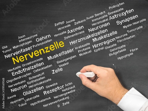 Nervenzelle photo