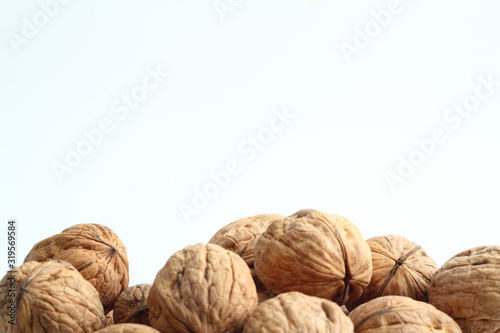 Walnut on the white background. Close up shot of whole walnut isolated on white background. Group of walnut whole on a white background.