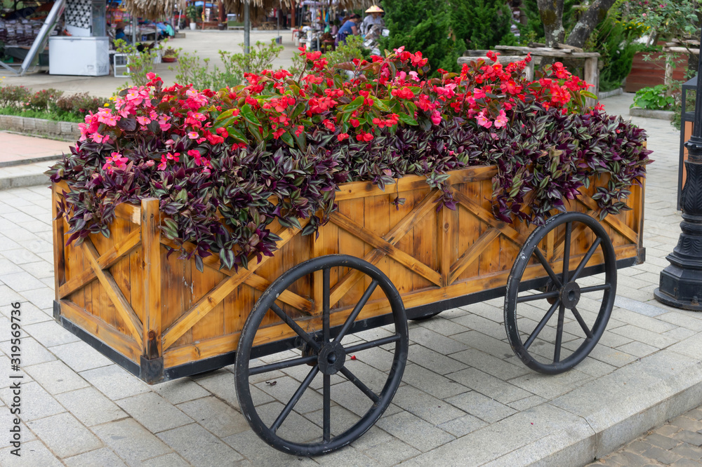 Colorful flowers on trolley or cart wooden in garden
