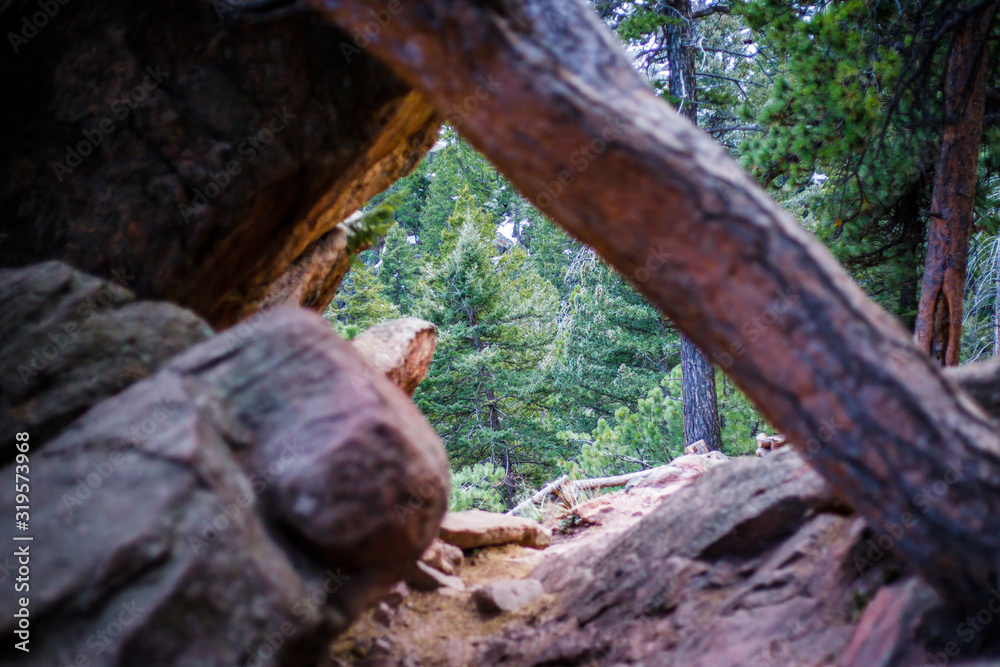 Mysterious Forest Peeking Through on the Trail Mysterious Forest Peeking Through on the Trail