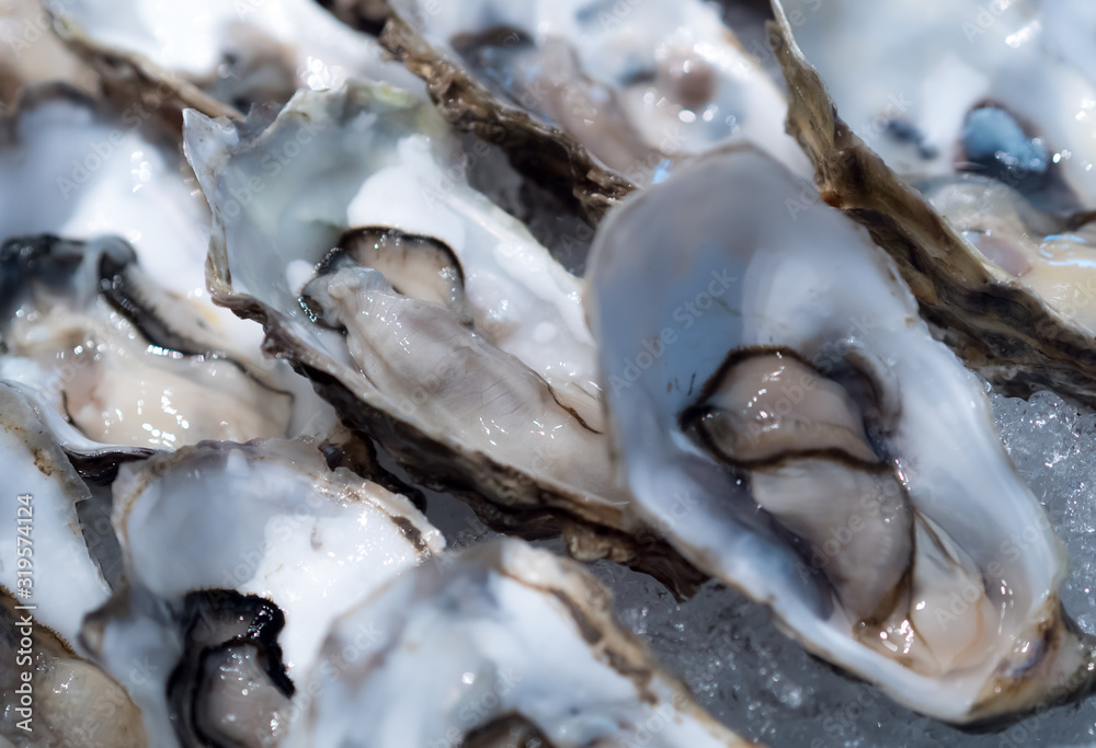Tasty fresh shucked oysters on ice. Raw oysters packed with nutrition, high in calcium, potassium, magnesium, vitamin and mineral. Flavor are sweet and refreshing. Believed to be aphrodisiac. Close up Tasty fresh shucked oysters on ice. Raw oysters packed with nutrition, high in calcium, potassium, magnesium, vitamin and mineral. Flavor are sweet and refreshing. Believed to be aphrodisiac. Close up