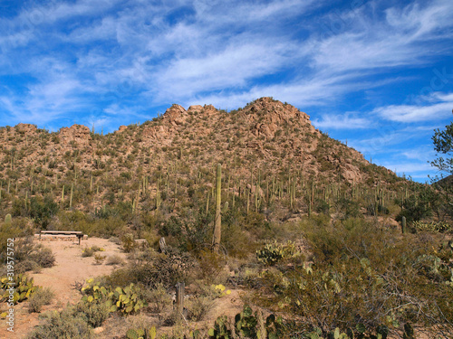 Scenic views of Saguaro National Park