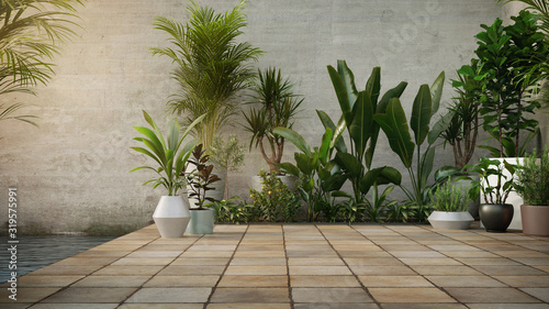 Fotografie, Obraz Concrete wall and Plant in pot on stone flooring tile, background