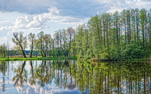 Trees and sky reflecting in a pond in Bialowieza National Park as a part of Belovezhskaya Pushcha National Park in Poland.