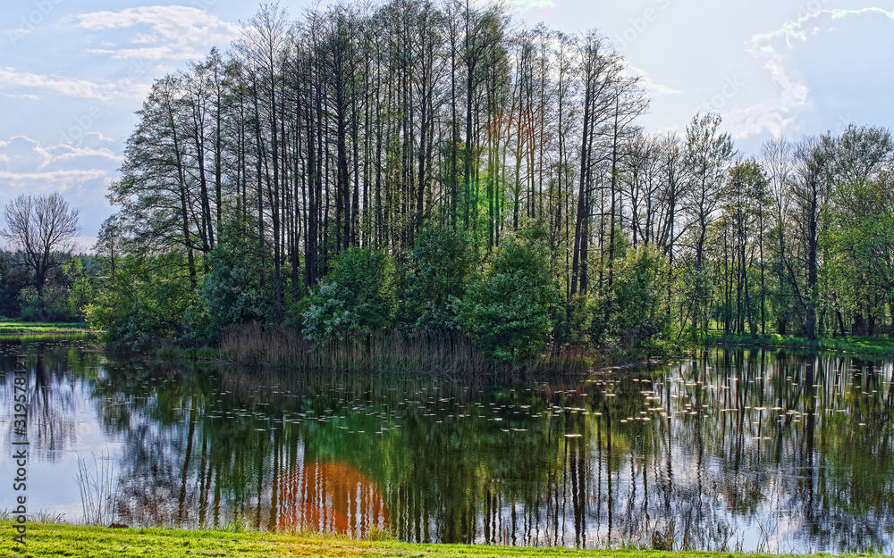 Trees mirrored in a pond in Bialowieza National Park as a part of Belovezhskaya Pushcha National Park in Poland. Trees mirrored in a pond in Bialowieza National Park as a part of Belovezhskaya Pushcha National Park in Poland.