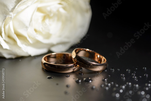 Wedding rings black background white rose drops