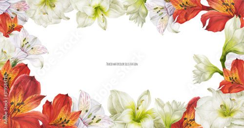 Floral banner with red and white lily flowers