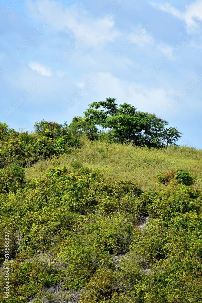 Nature View Of Hilltop And Sky