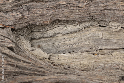 close up of the red and dark colors and textures of Native Australian 'stringy bark' trees, with twists and holes and valley patterns in the aged bark.