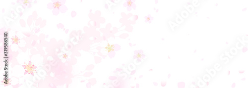 ふわふわ　幻想的な桜