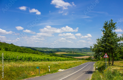 Asphalt road on a hill. Vineyard and hills  in the background. Peaceful sunny summer photo. Nice clouds on the sky. 