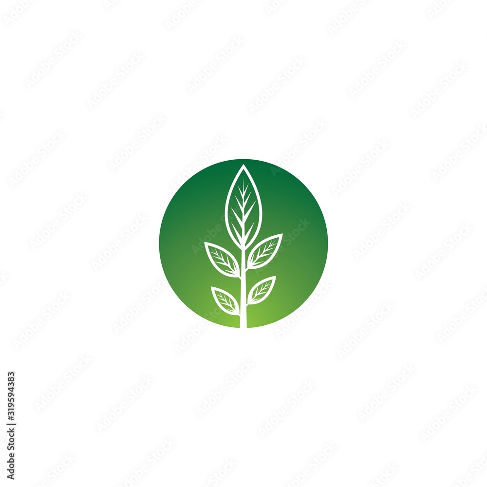 leaf vector template icon design leaf vector template icon design