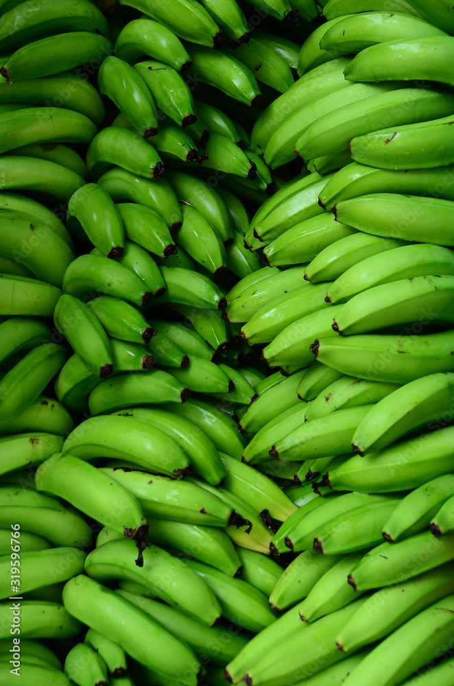 Texture of green bananas, Quindio Colombia Texture of green bananas, Quindio Colombia