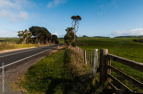 Rural farming landscape, North Island, New Zealand