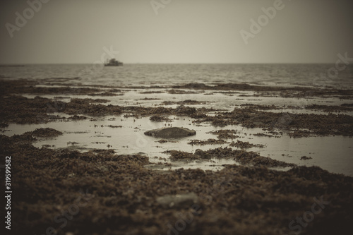 The road to the island at high tide. Creative sketches. Pictures for the interior.. Brittany. France
