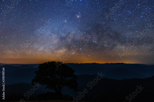 Milky way and Jupiter over the horizon and lonely green tree with stars and space dust in the universe. 